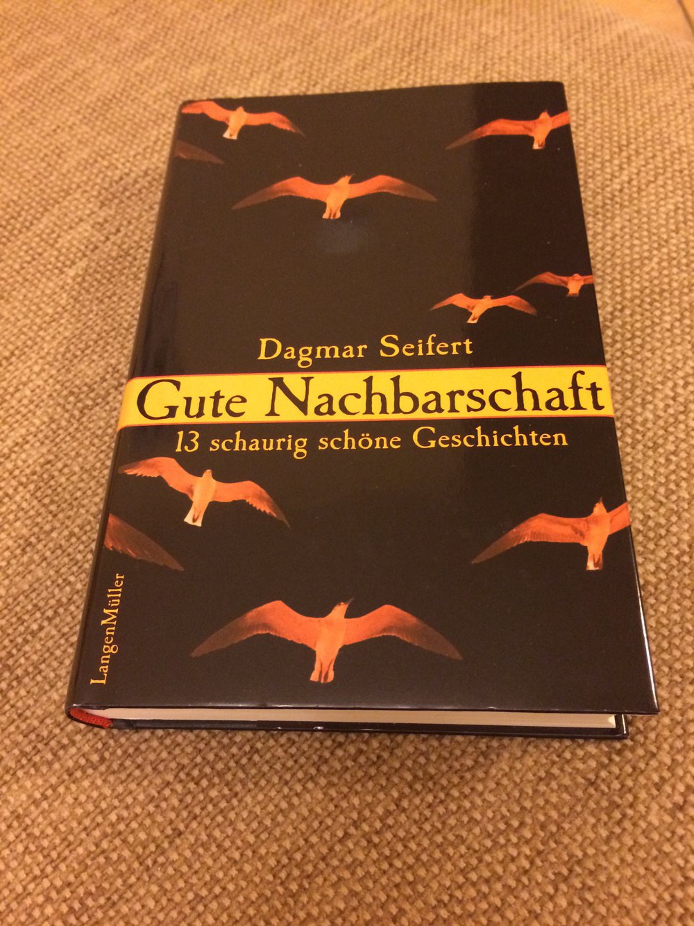 Gute Nachbarschaft 13 schaurige schöne Geschichten