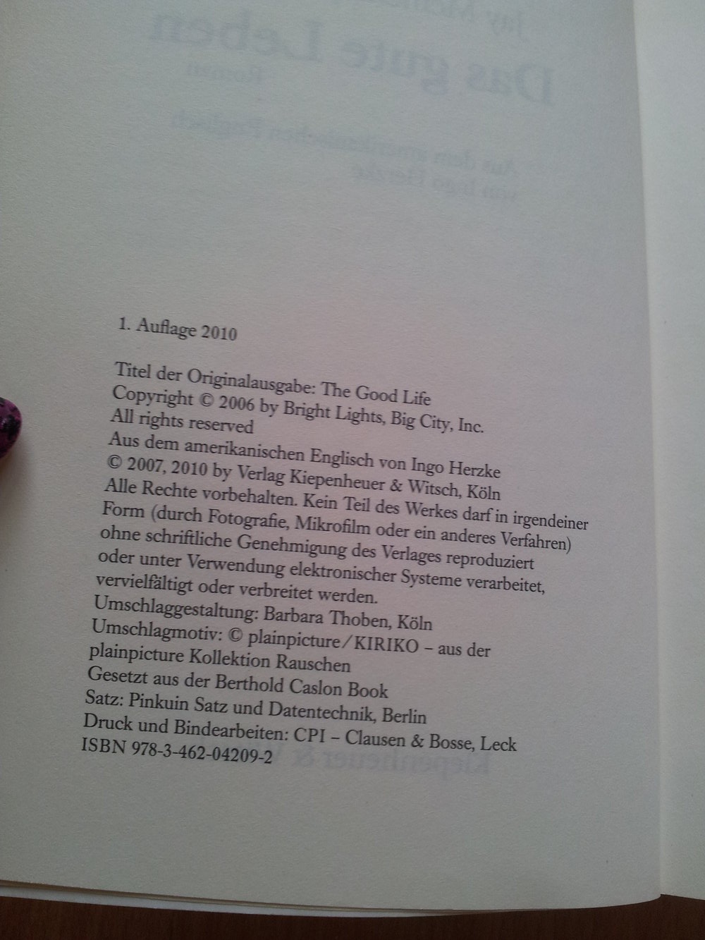  Buch - Das gute Leben - Jay McInerney 