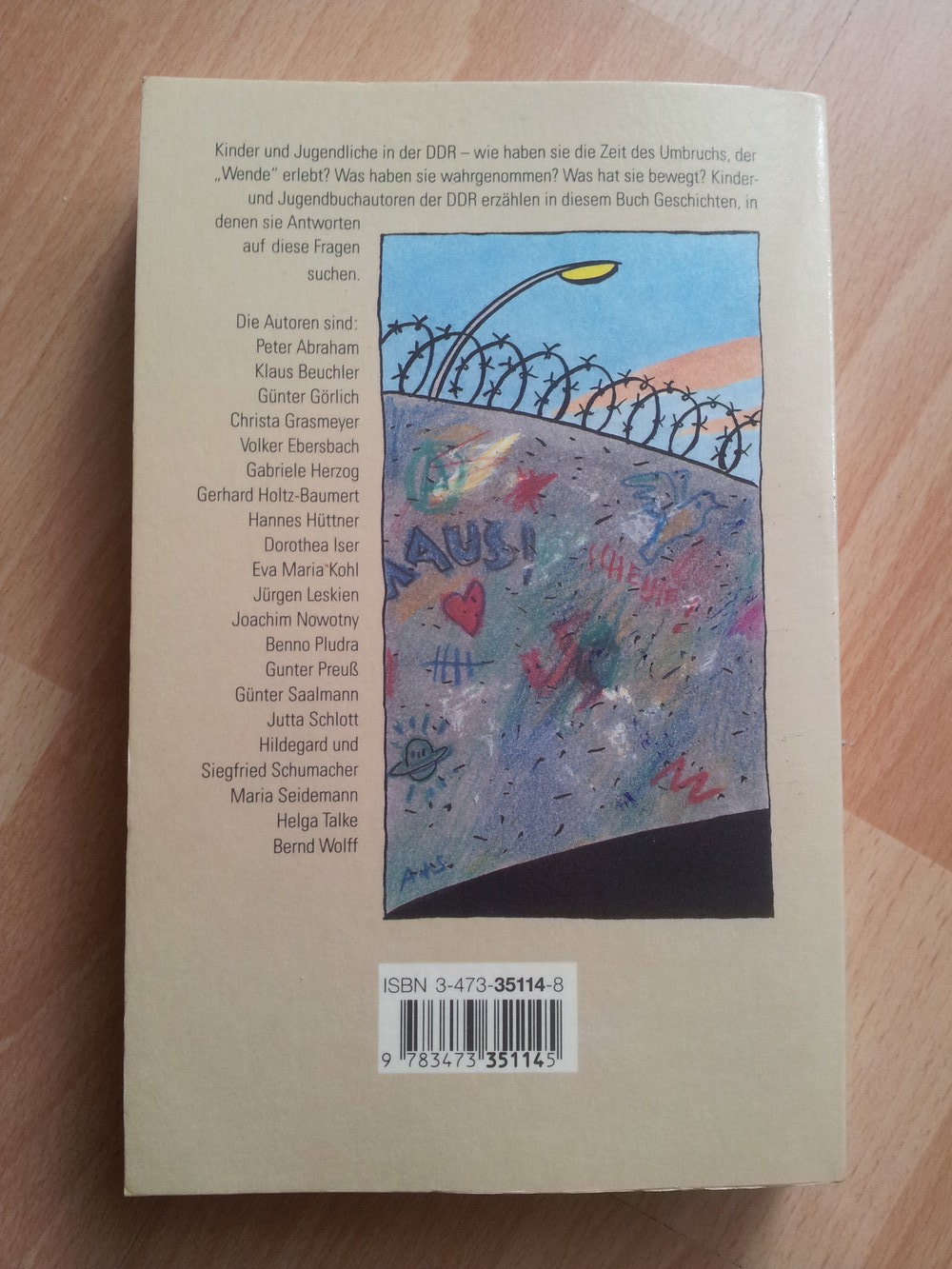 Wahnsinn! -Geschichten vom Umbruch in der DDR