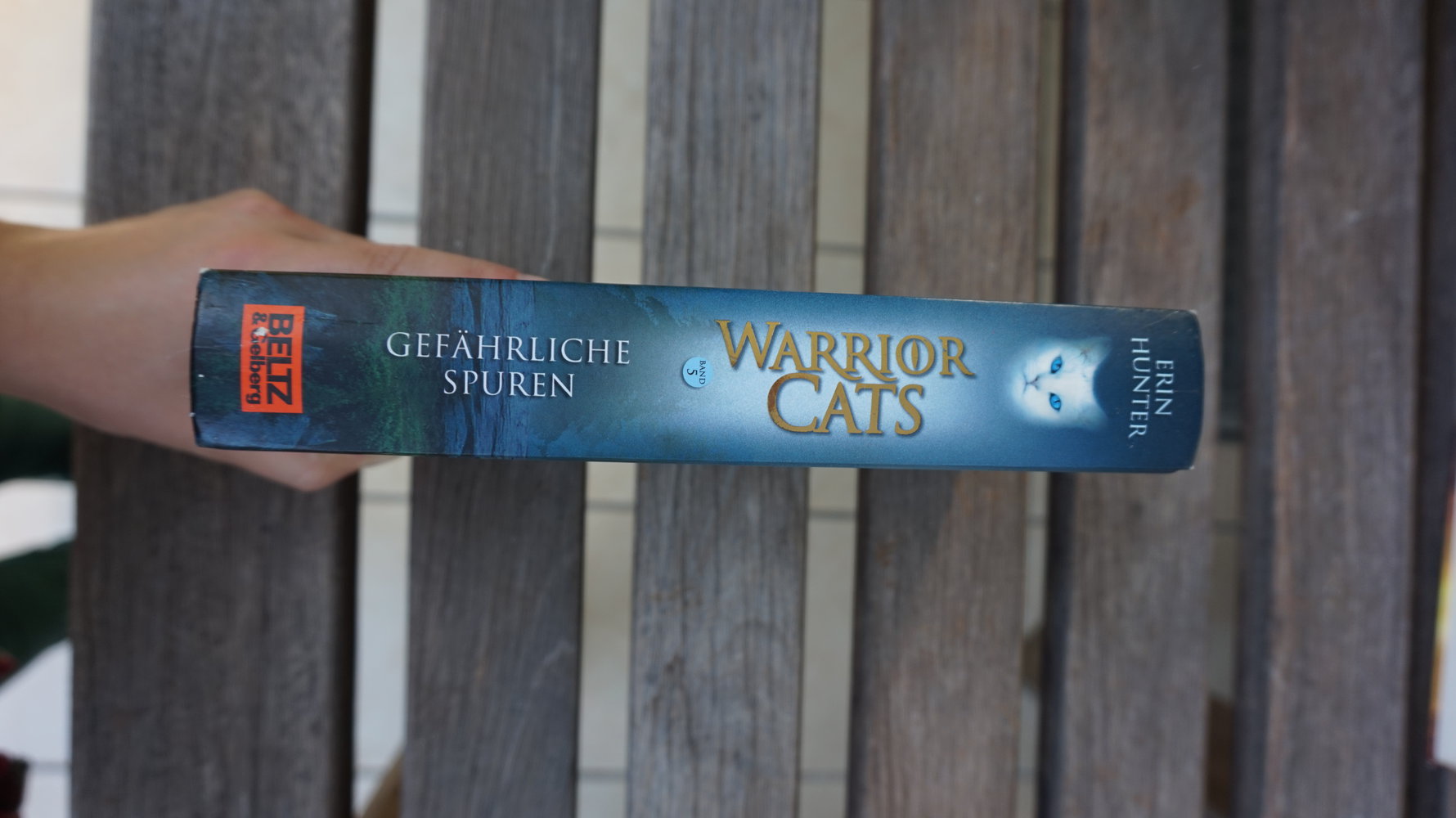 WarriorCats Staffel 1 BAND 5