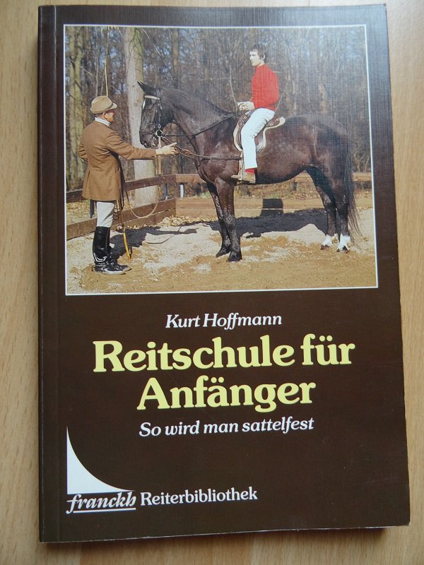 Reitschule für Anfänger - so wird man Sattelfest