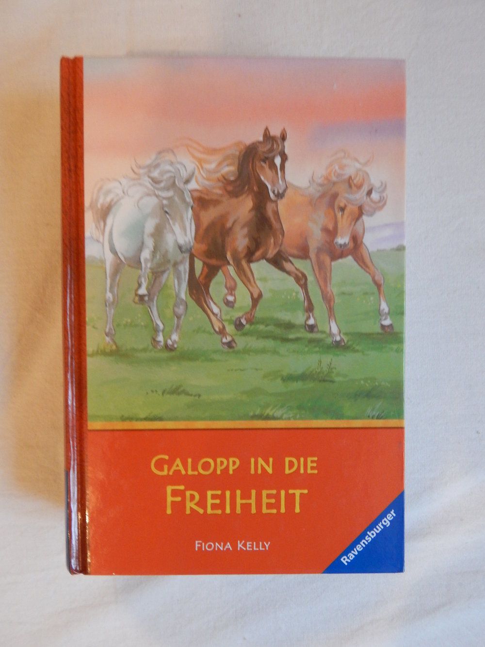Galopp in die Freiheit