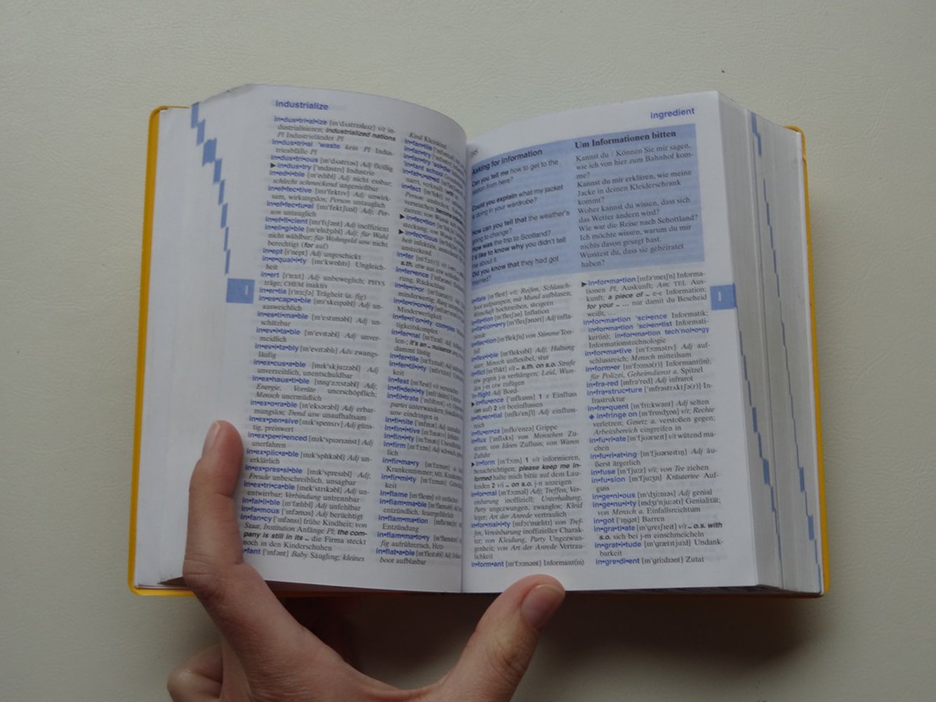 Langenscheidt Schulwörterbuch Englisch 