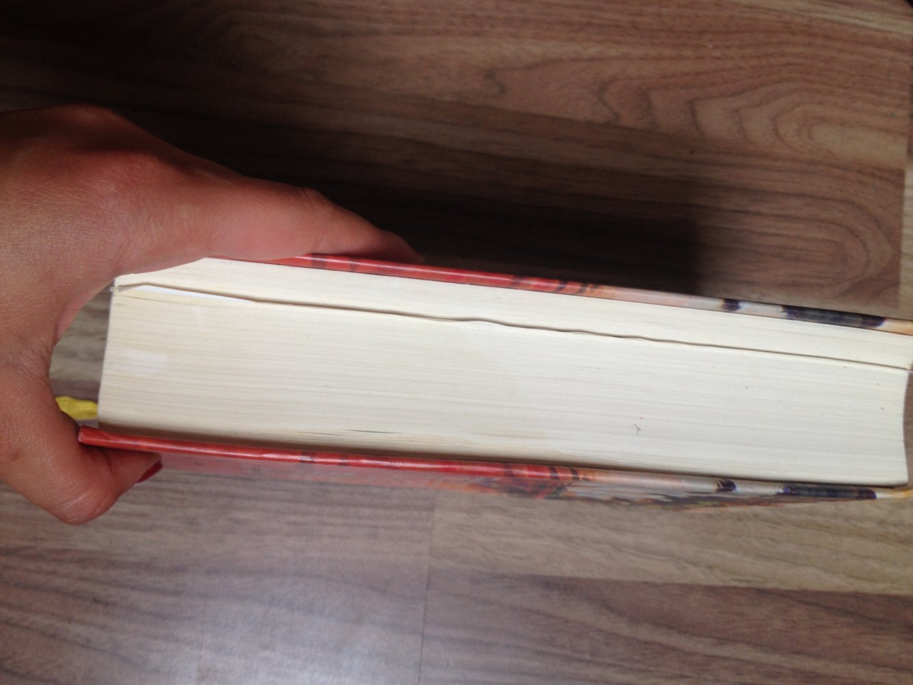 Unter dem Zwillingsstern