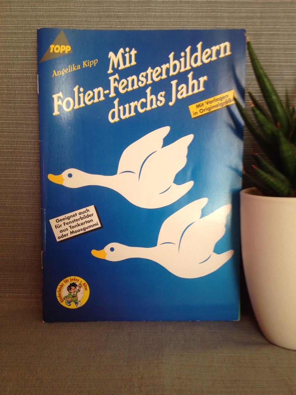 Mit Folien Fensterbildern durchs Jahr 