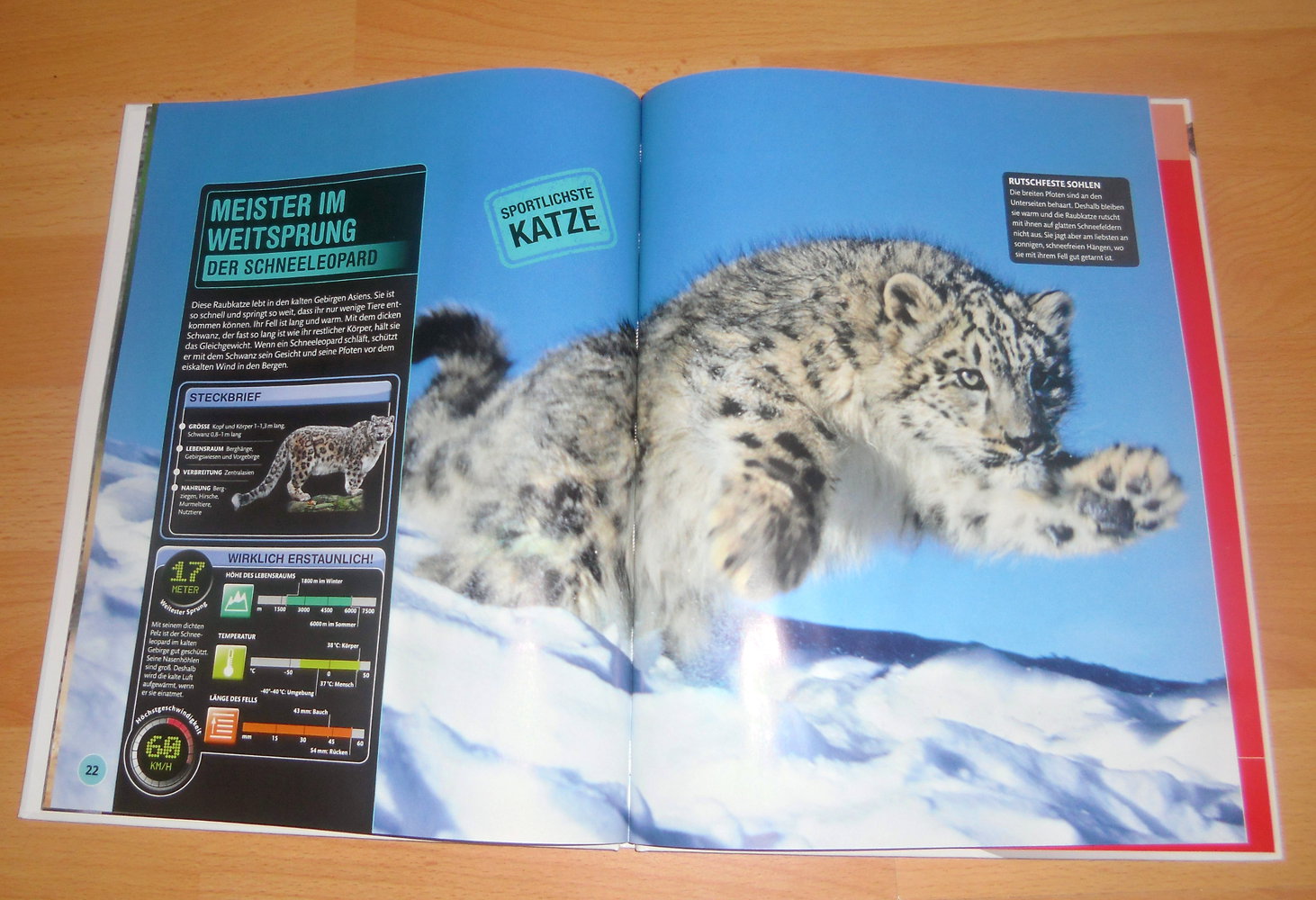 Super Tiere, Schönes Buch