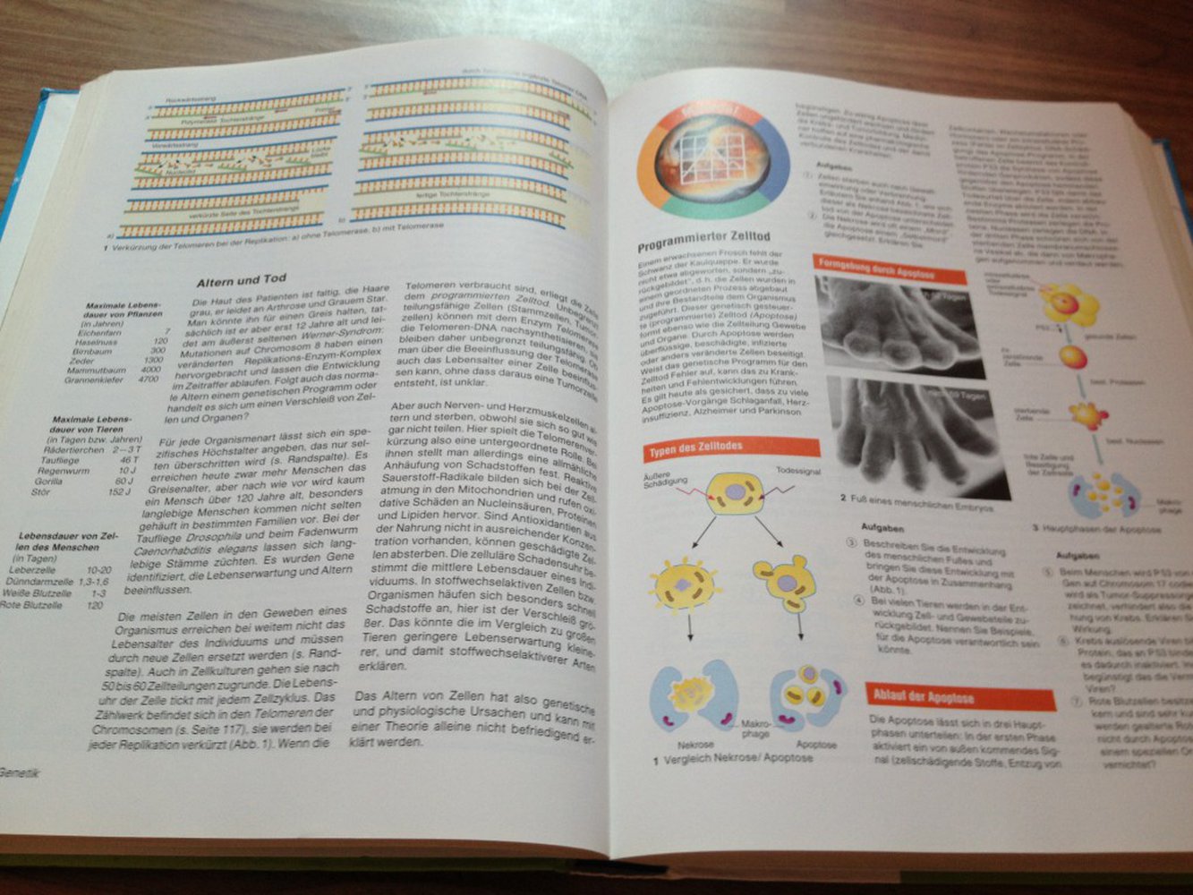 NATURA Biologie für Gymnasien (Oberstufe)