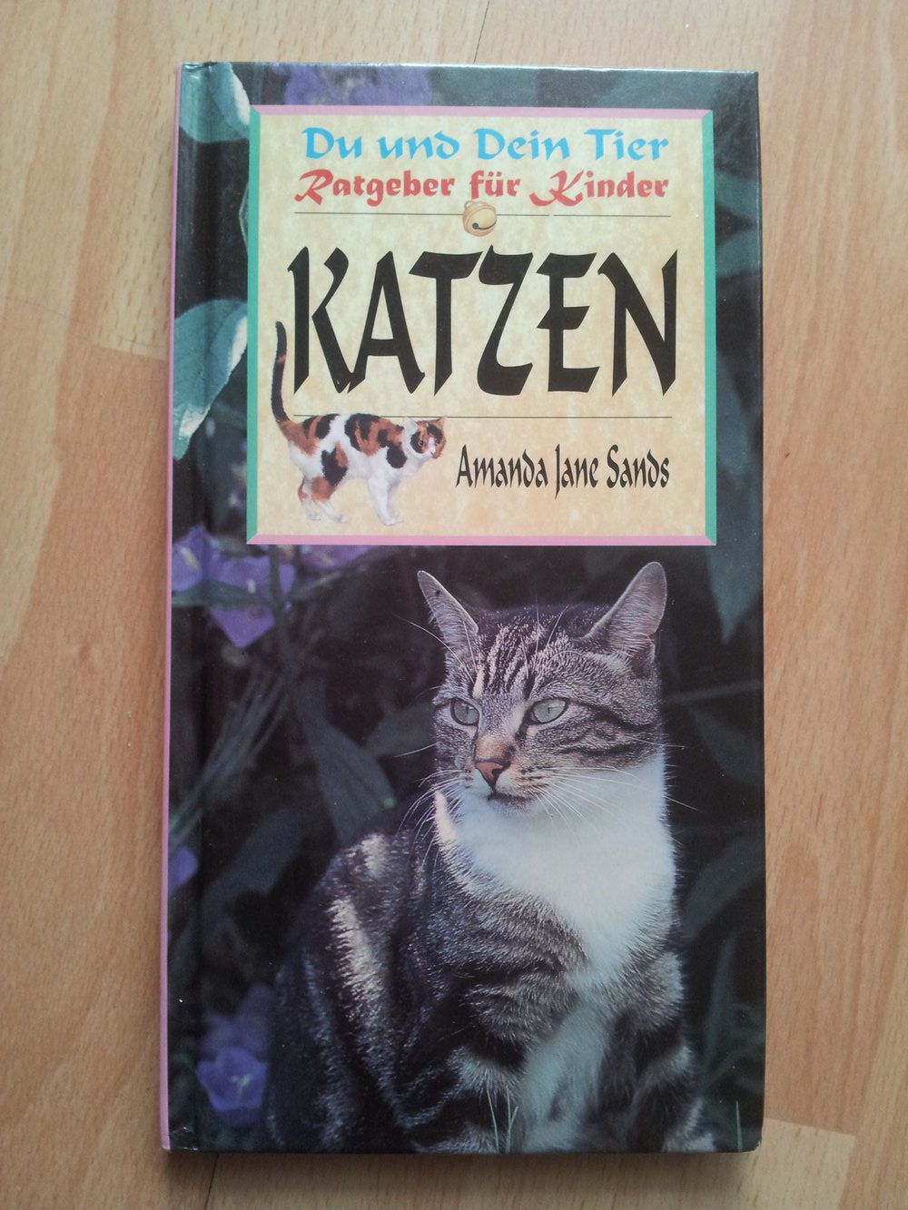  Katzen-Ratgeber für Kinder, Du und dein Tier
