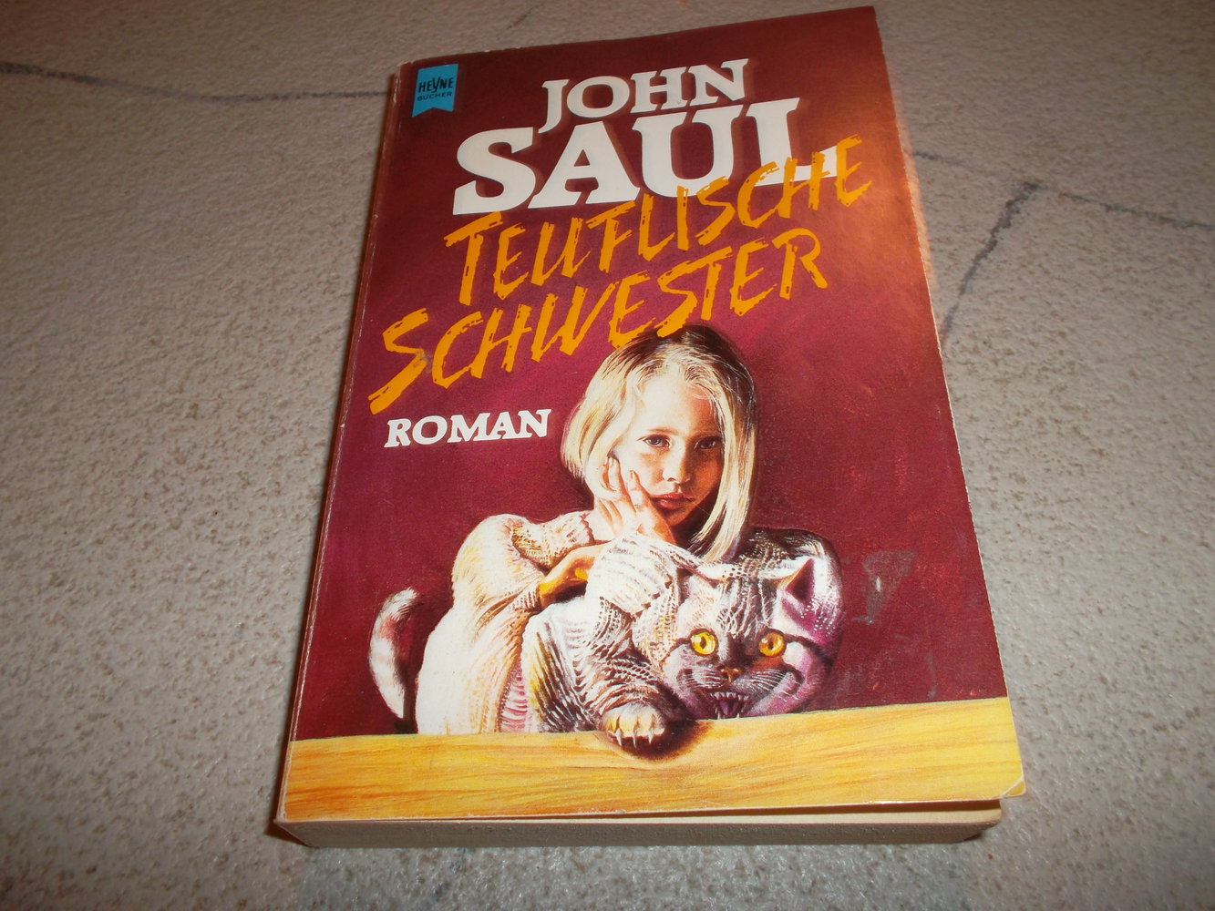 buch,john saul,teuflische schwestern