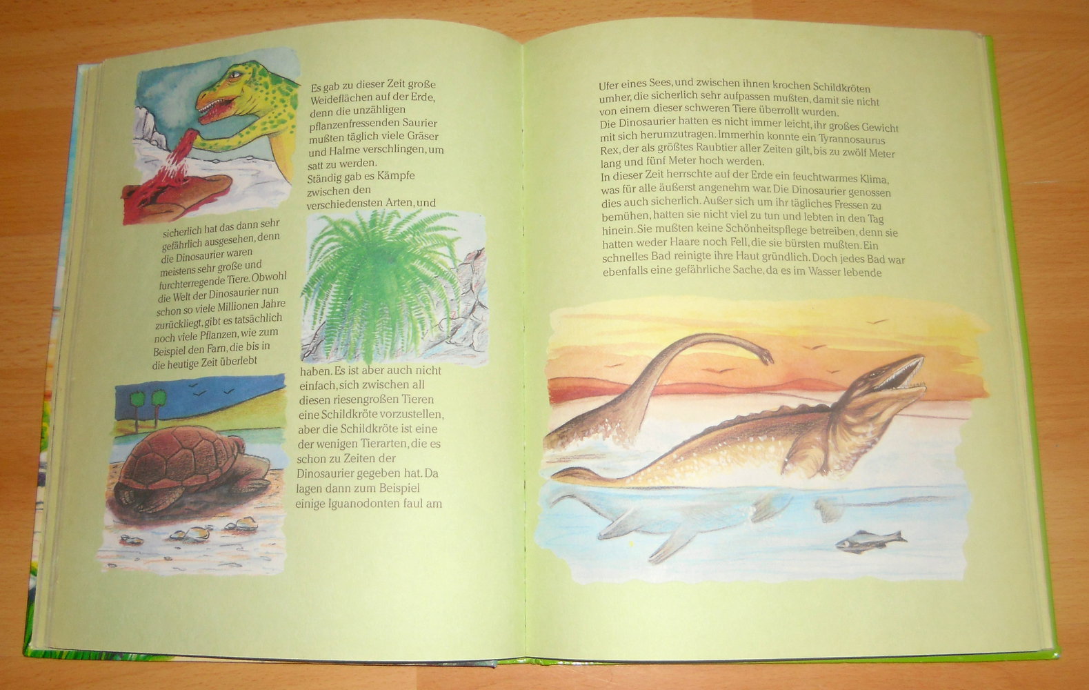 Abenteuer im Dinoland – Buch