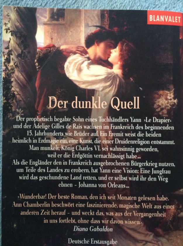 Der dunkle Quell (Roman)