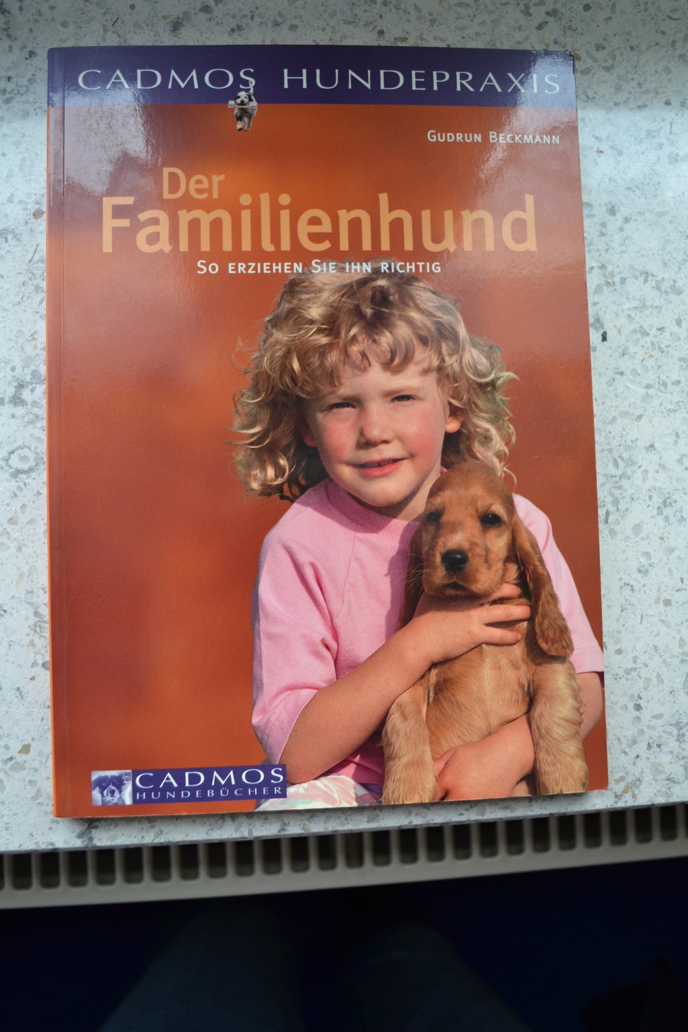 Der Familienhund, so erziehen sie ihn richtig