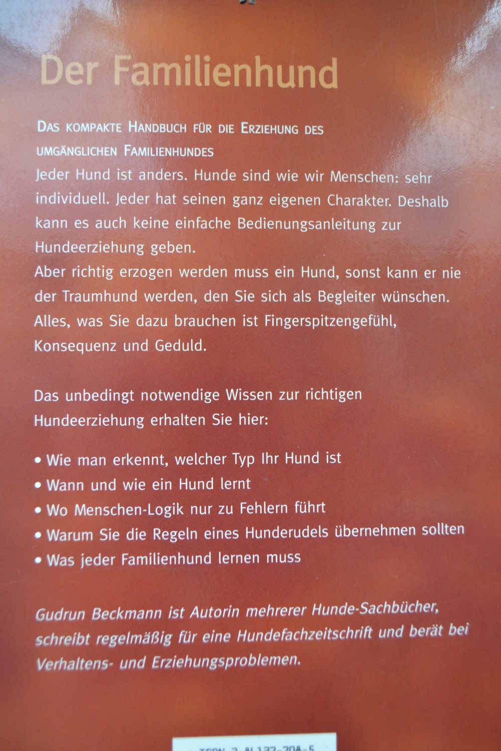 Der Familienhund, so erziehen sie ihn richtig