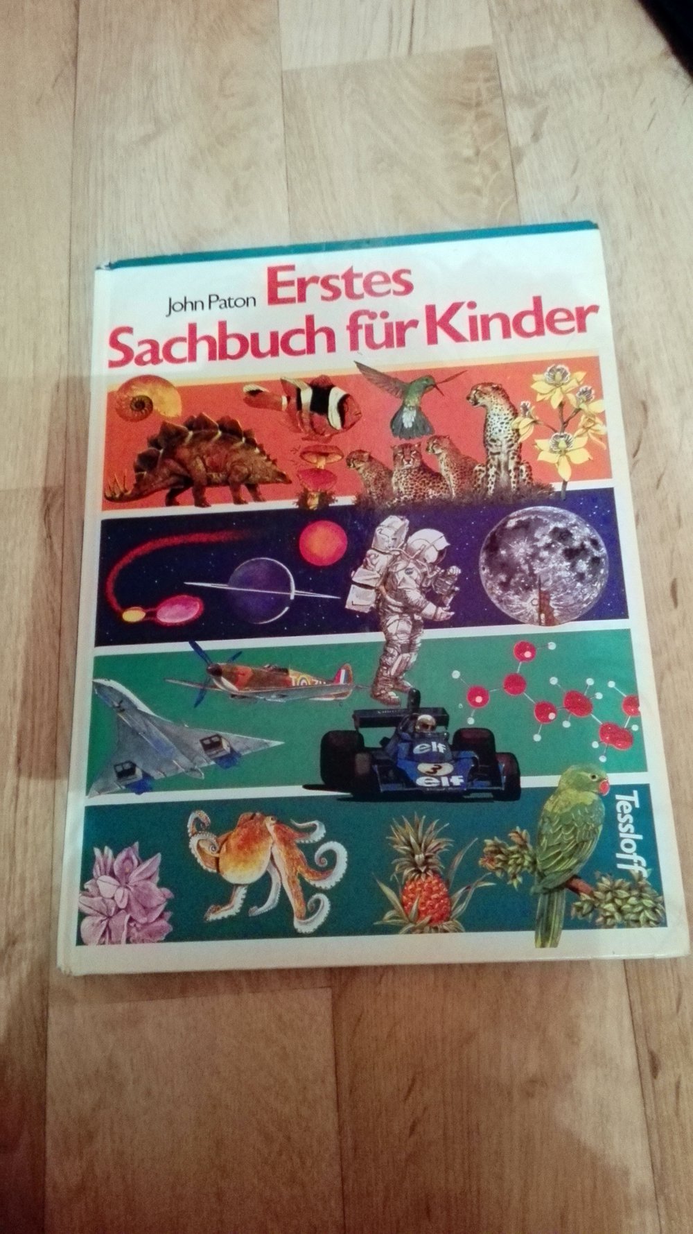 Erstes Sachbuch für Kinder