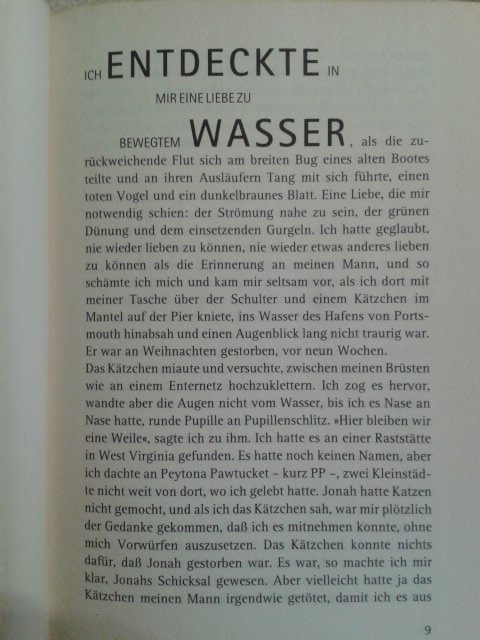 Rosinante oder die Liebe zum Meer von Joe Coomer