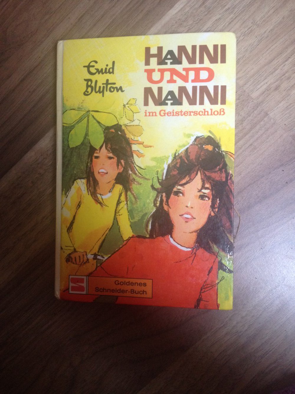 Hanni und Nanni im Geisterschloß