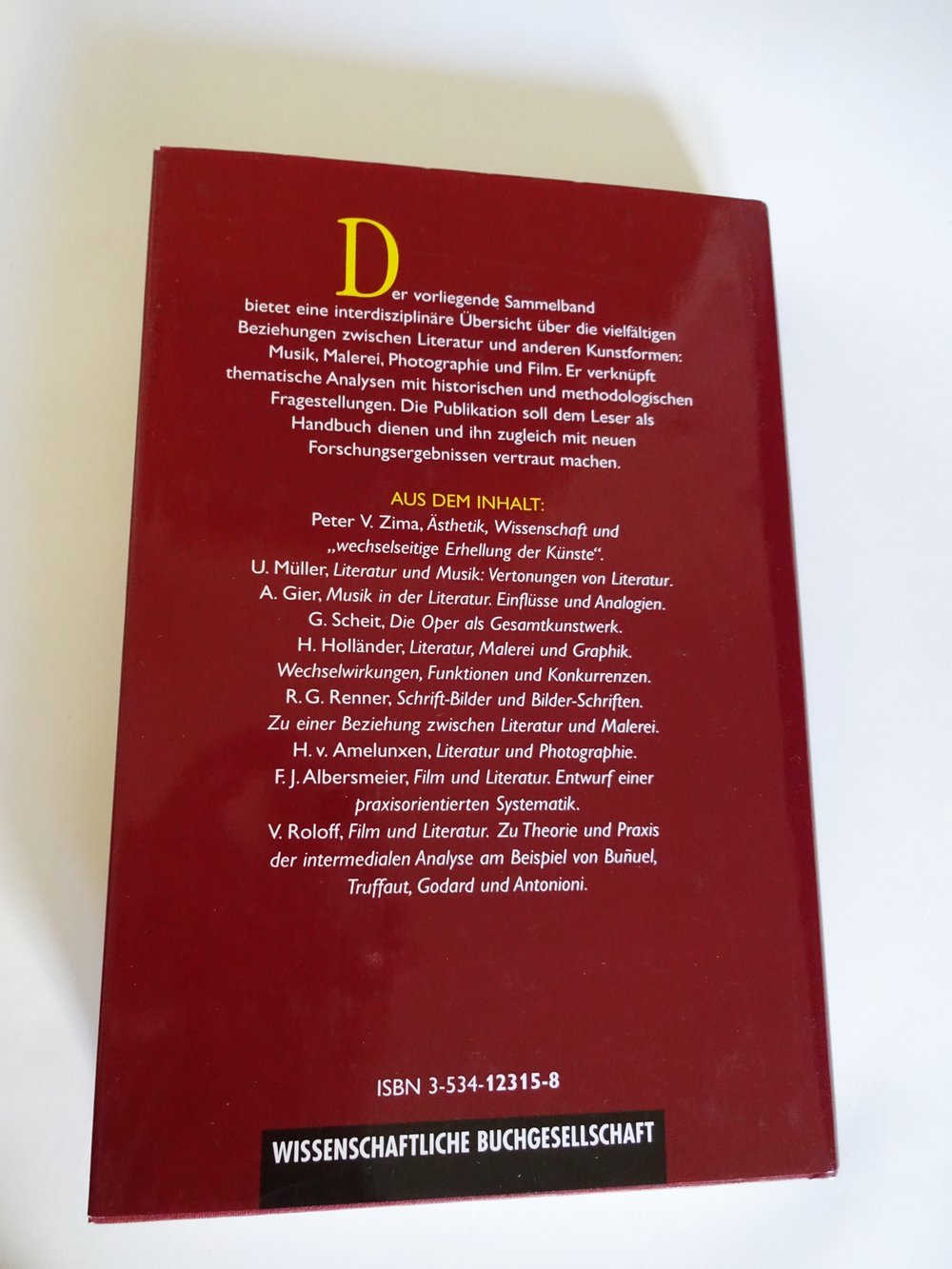 Literatur intermedial