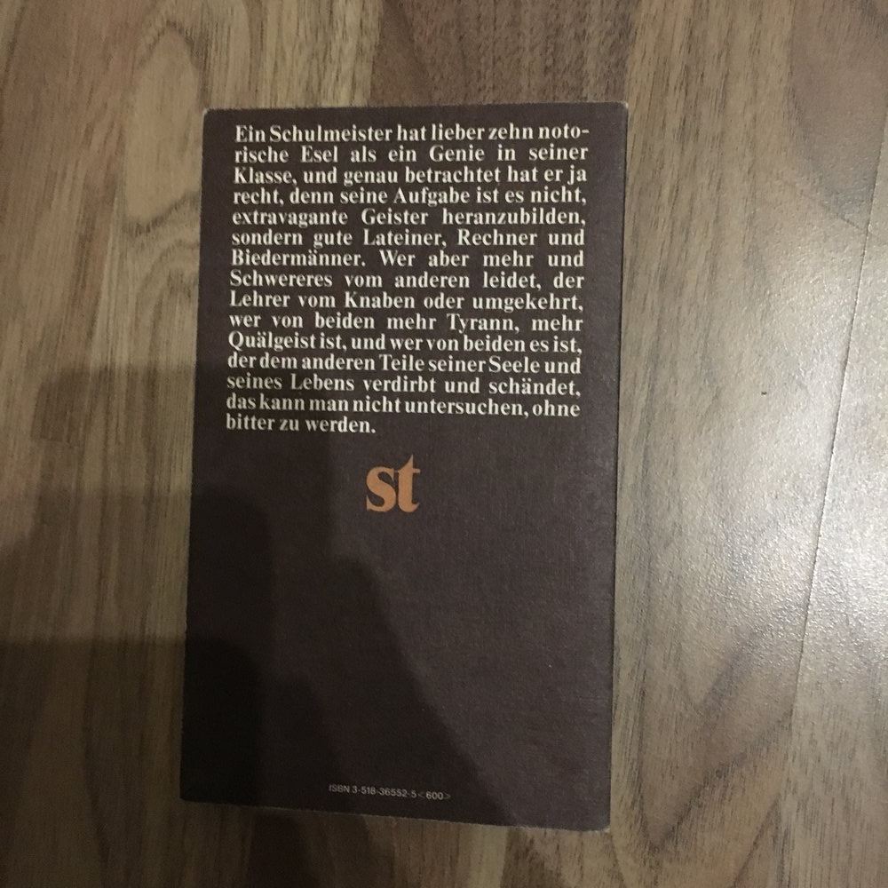 Hermann Hesse: Unterm Rad