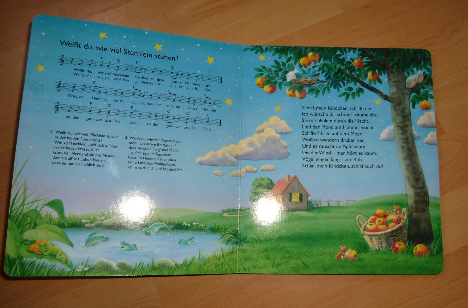 Buch - Wenn der Mond am Himmel wacht