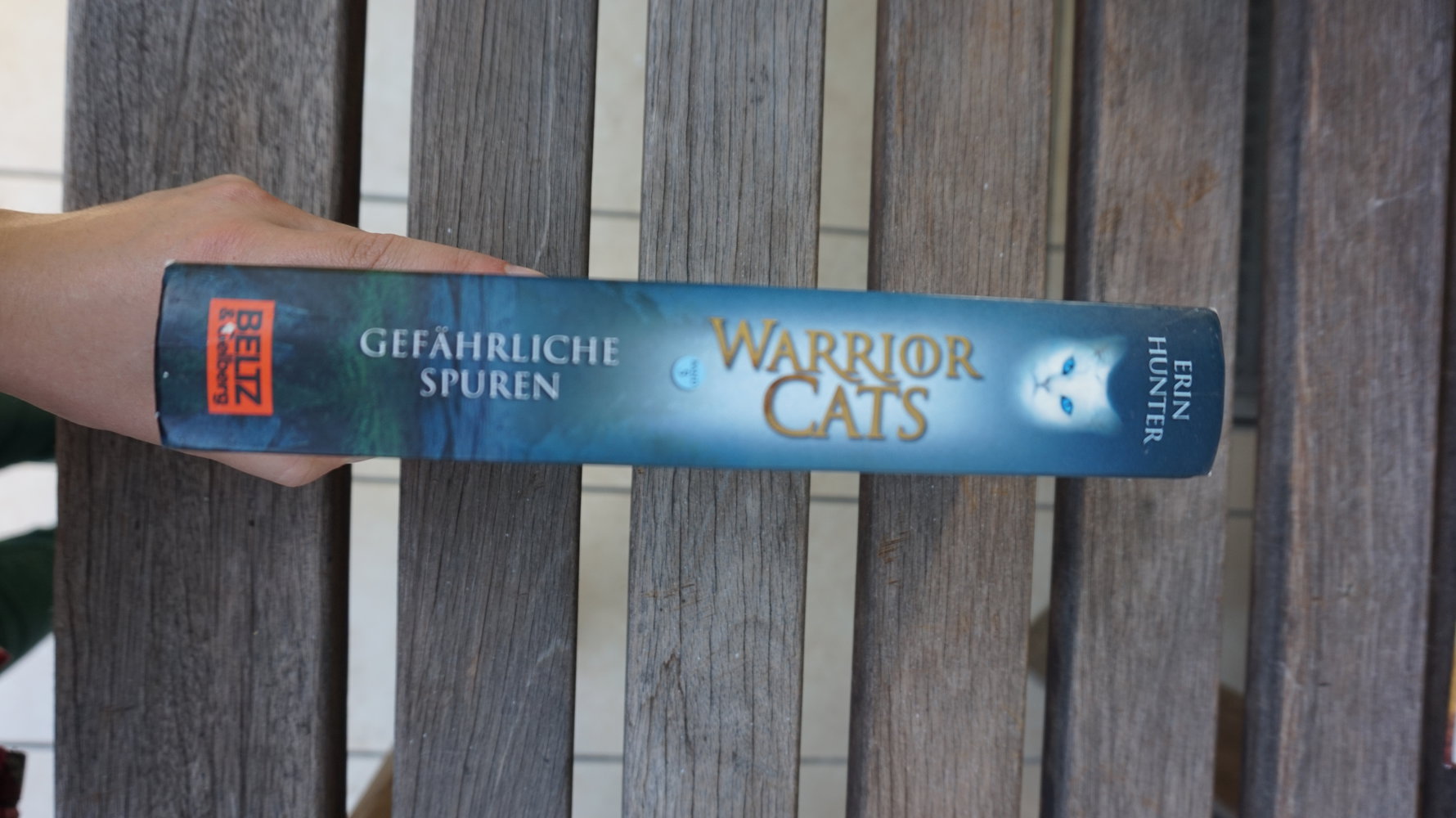 WarriorCats Staffel 1 BAND 5