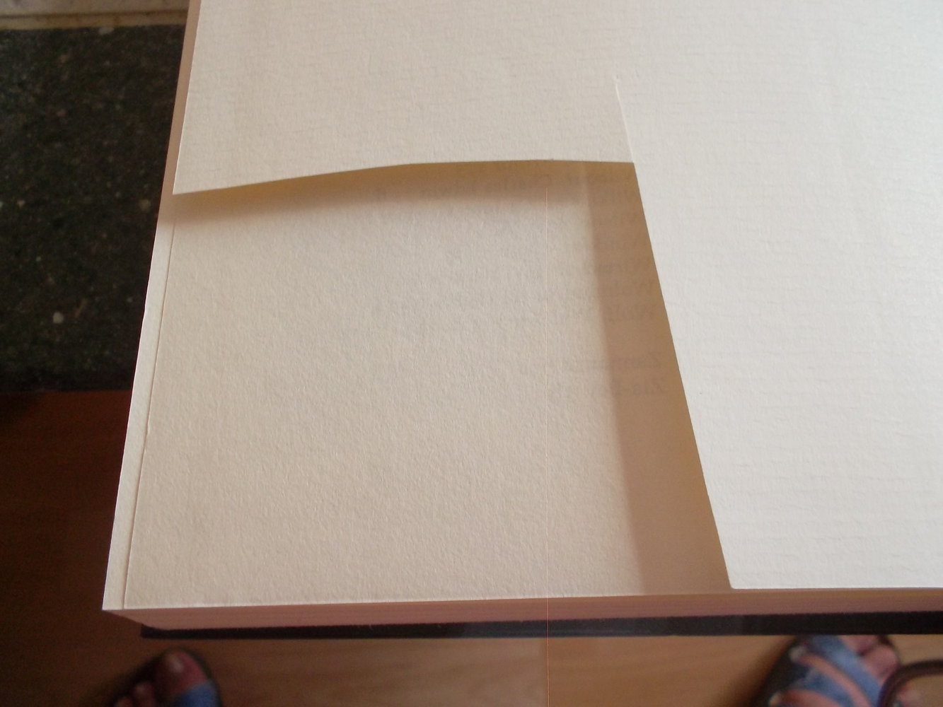 buch,nofretete,philipp vandenberg