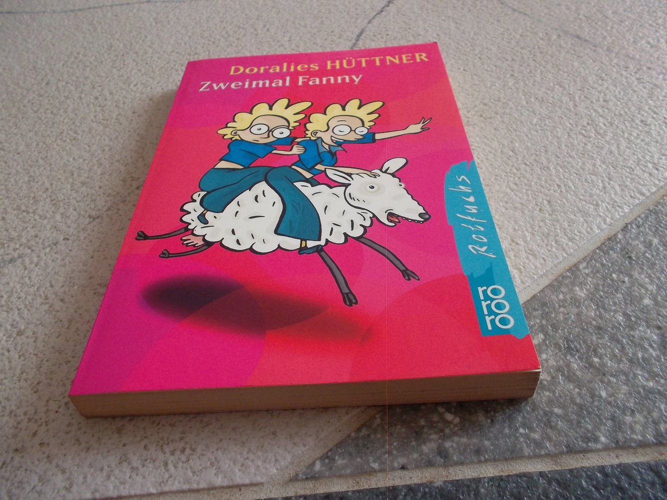 zweimal fanny,tolles kinderbuch,doralies hüttner