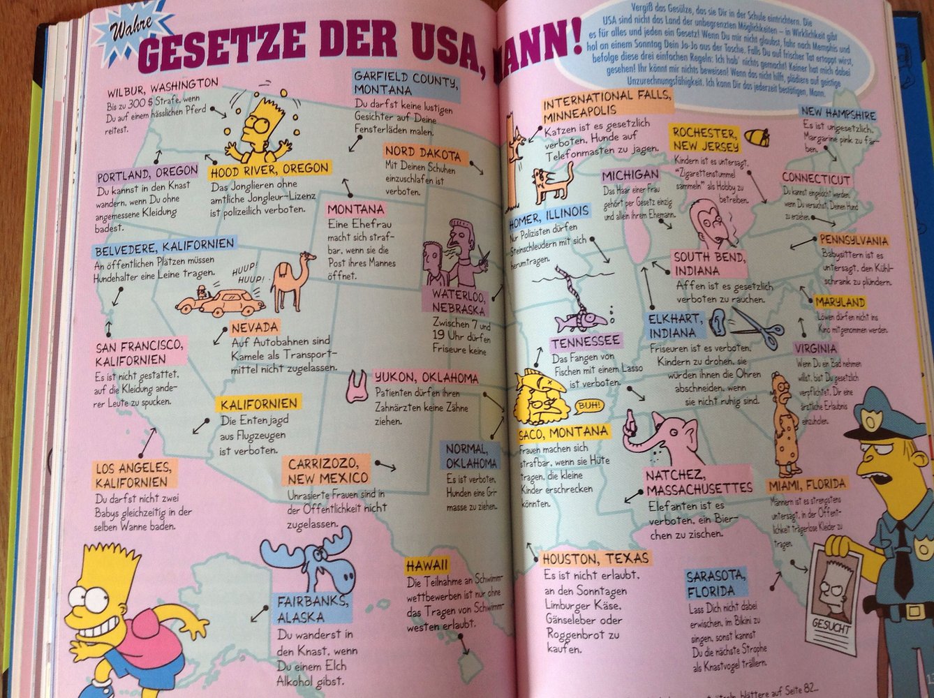 Bart Simpson\\\\\\\\\\\\\\\'s Tips & Tricks für alle Lebenslagen 