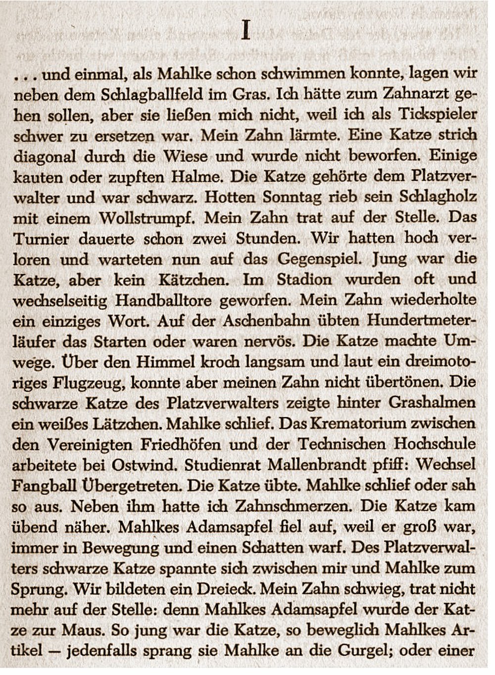 Günter Grass Roman : Katz und Maus