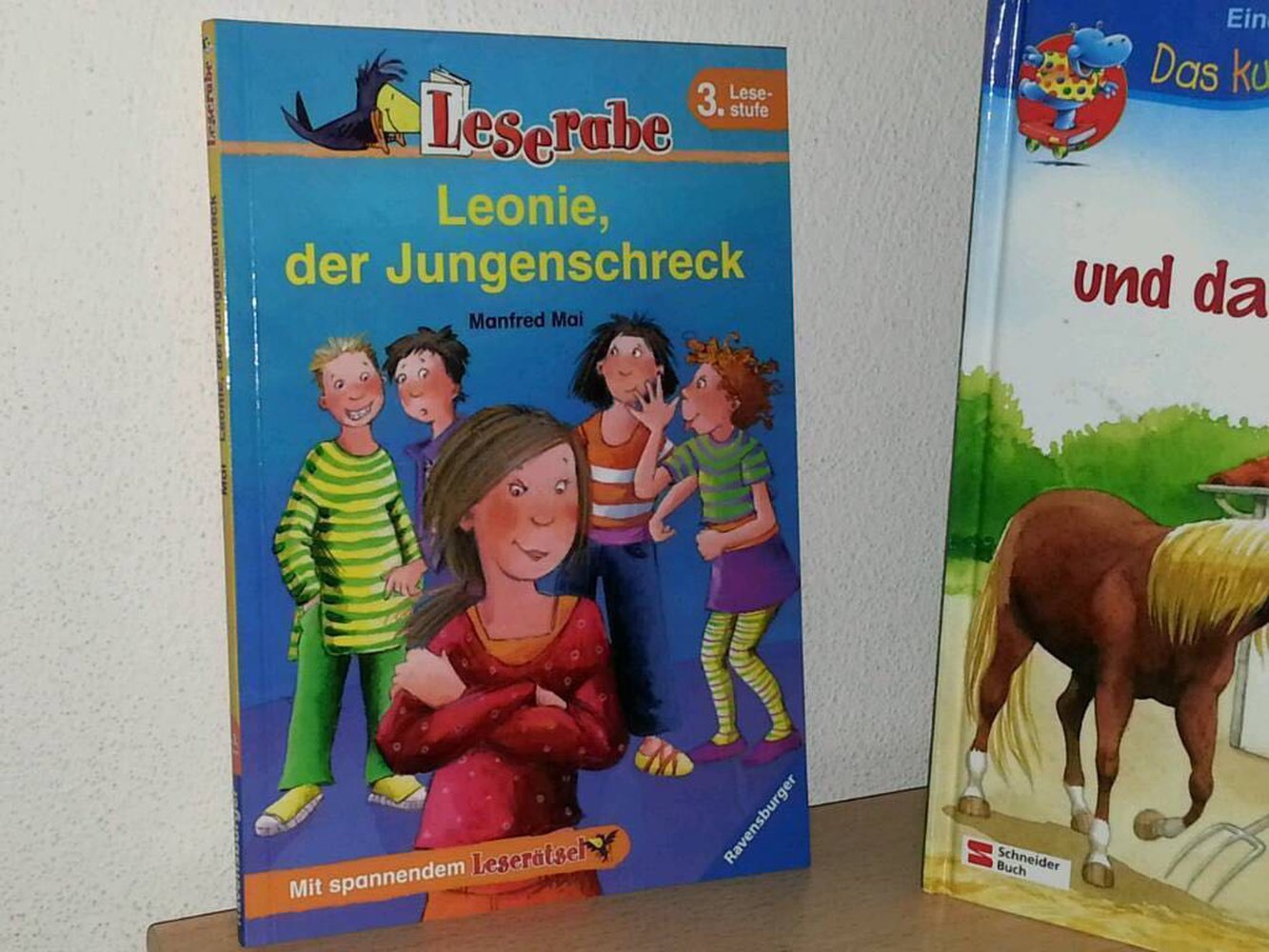 Viele Bücher für Leseanfänger oder fortgeschrittenen Leseratten 