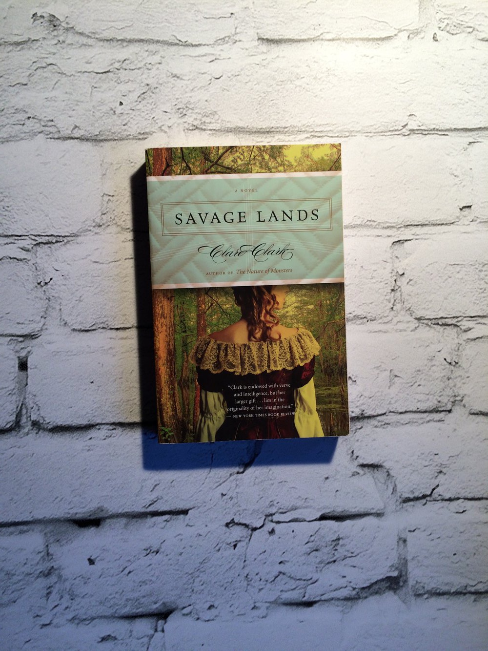 SAVAGE LANDS A novel