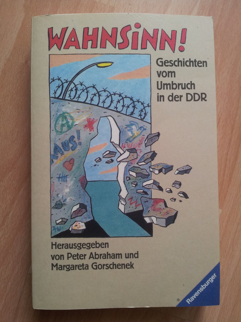 Wahnsinn! -Geschichten vom Umbruch in der DDR
