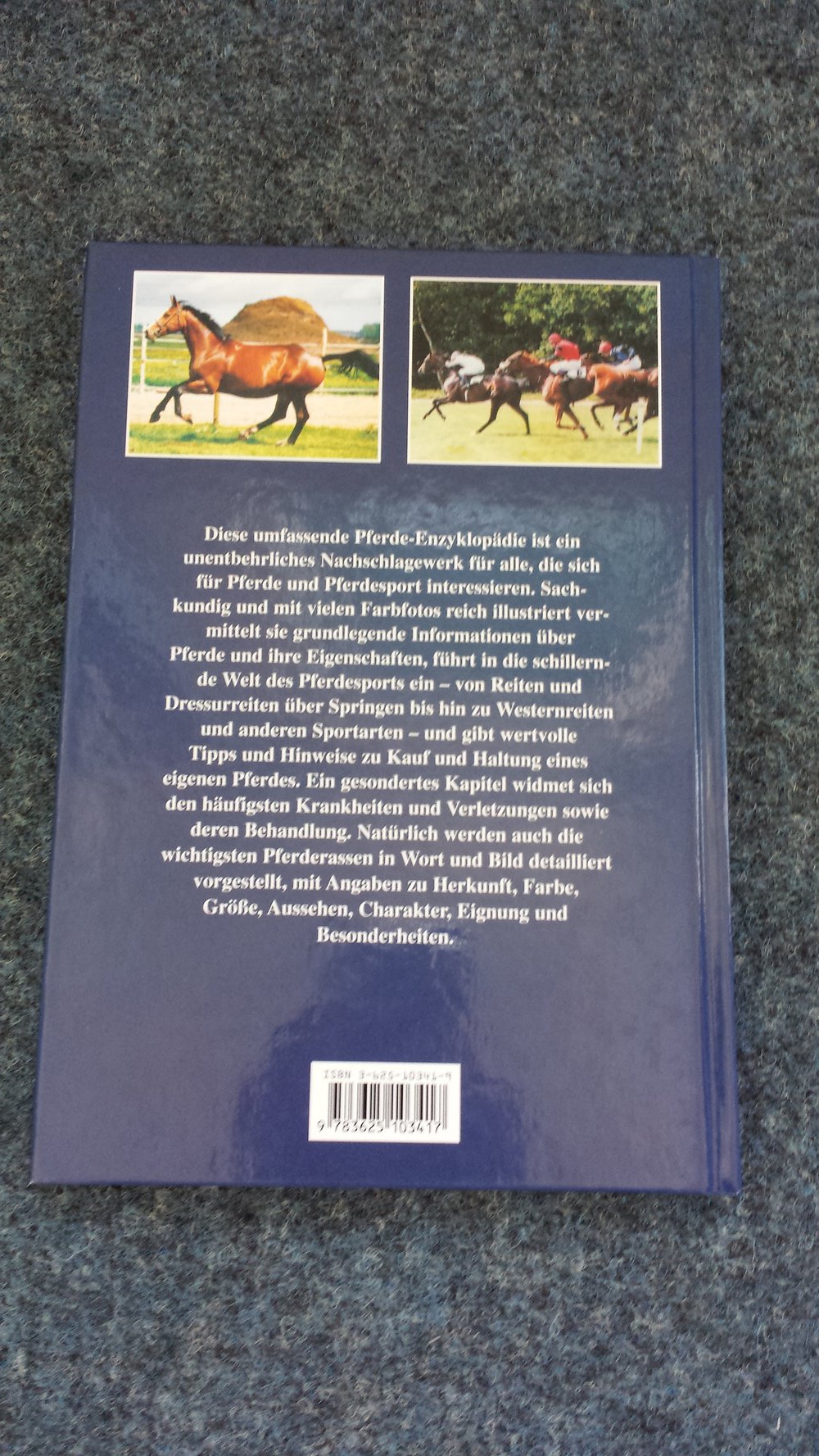 Pferde Enzyklopädie