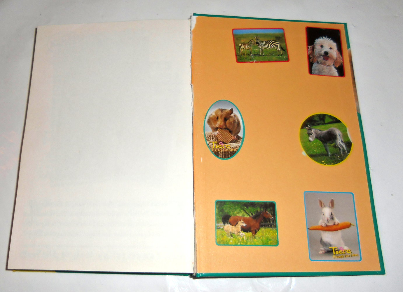 Tiere, Freunde fürs Leben, Bd.6, Fees großer Auftritt