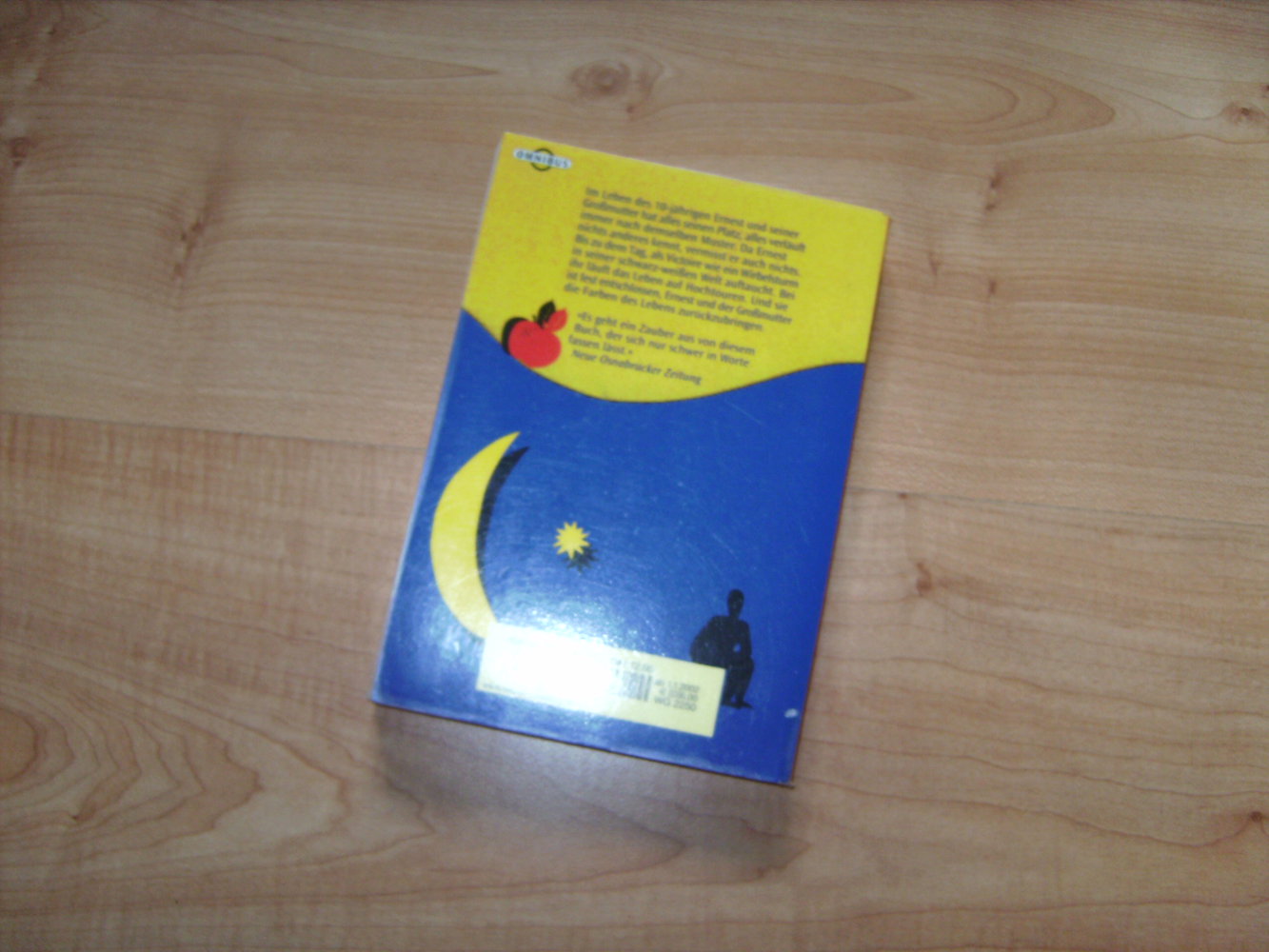 Die Farben des Lebens, Susie Morgenstern, Omnibus Verlag, Jugendbuch