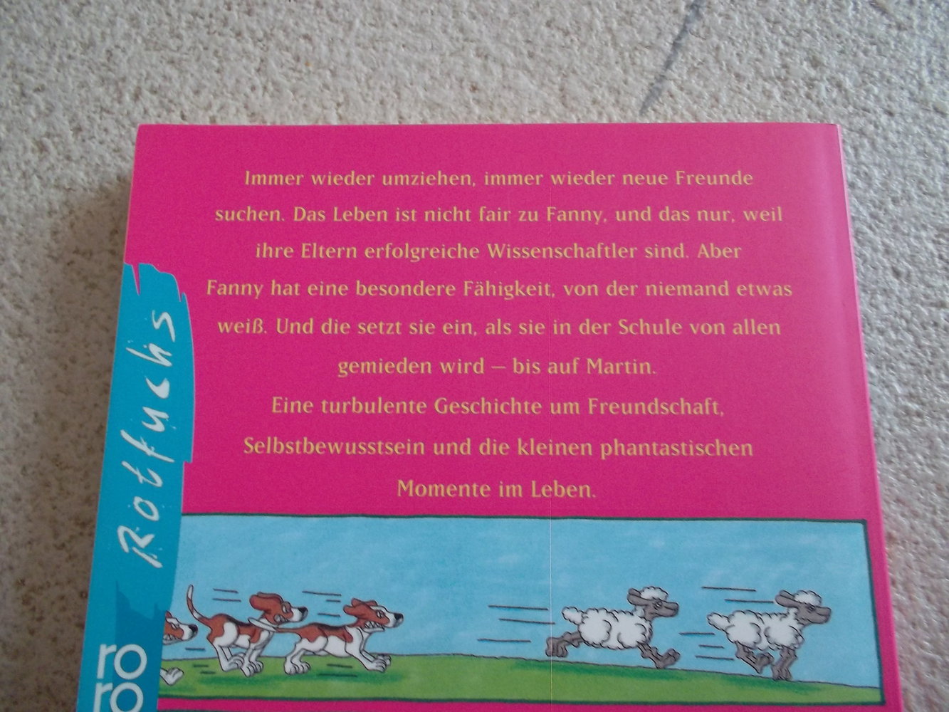 zweimal fanny,tolles kinderbuch,doralies hüttner