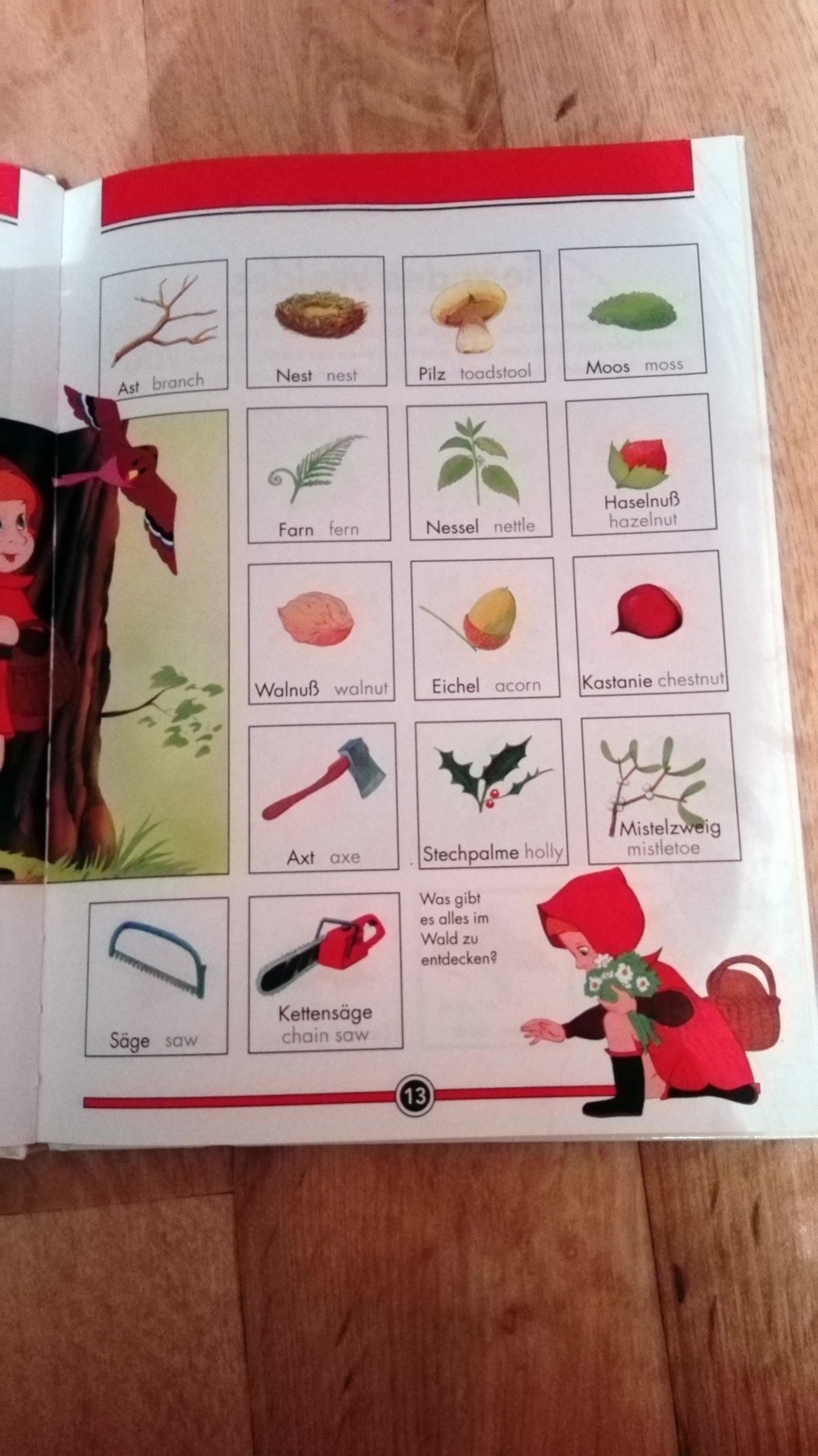 Mein erstes Bilderwörterbuch