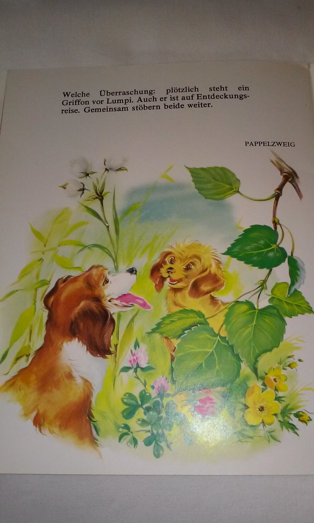 Lumpi am See - Wir entdecken die Natur  Kinderbuch antik Sammlerstück Rarität