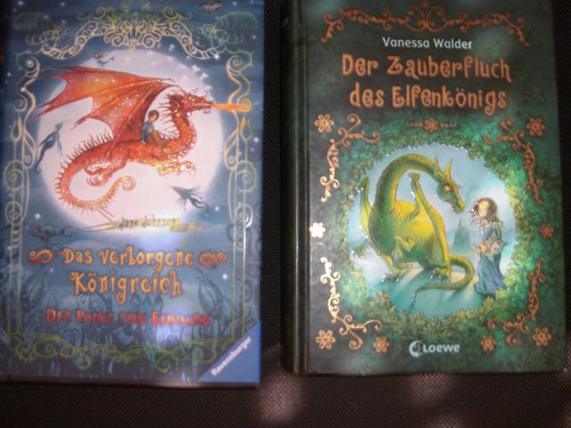 Buch das verborgene Königreich  und Der Zauberfluch des Elfenkönigs