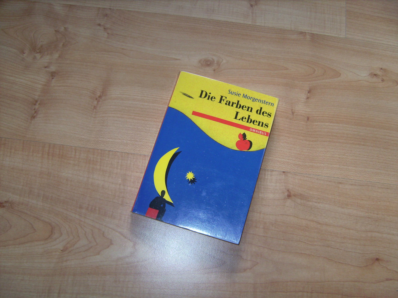 Die Farben des Lebens, Susie Morgenstern, Omnibus Verlag, Jugendbuch