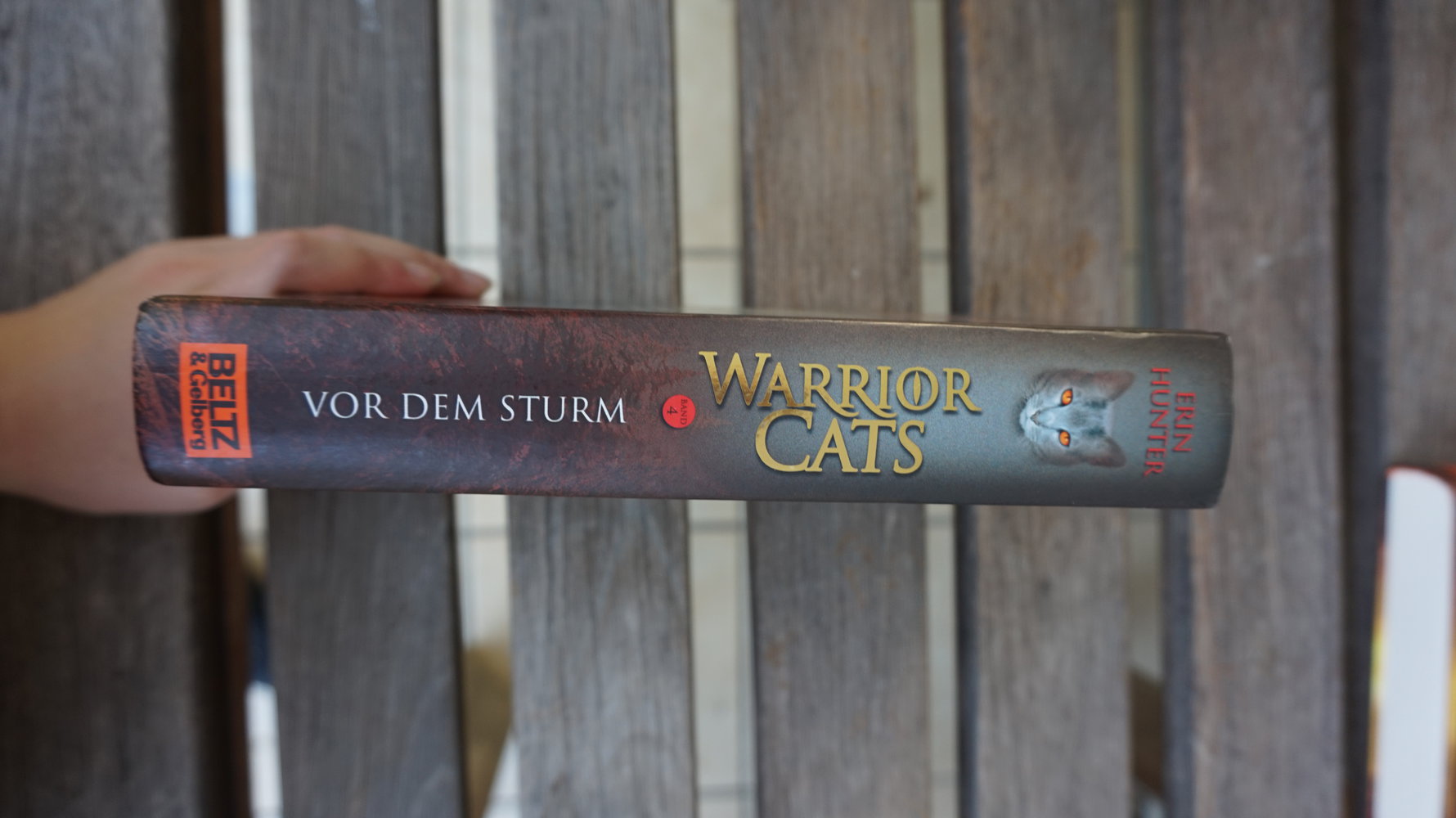 WarriorCats Staffel 1 BAND 4