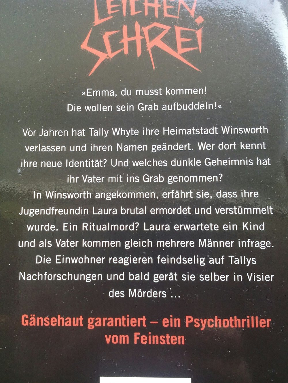 Thriller von Vicki Stiefel - Leichenschrei - Taschenbuch 