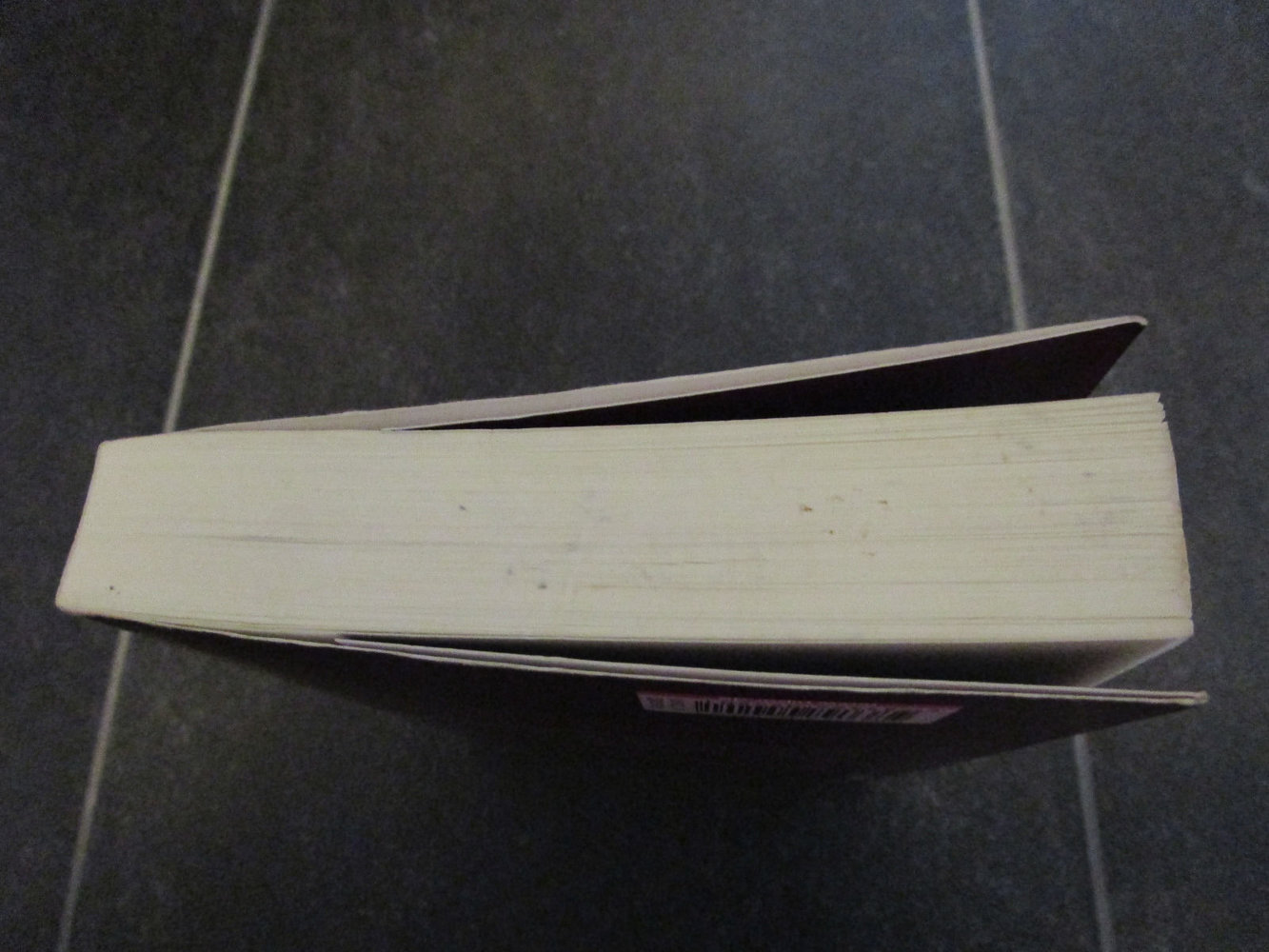 Buch Schoßgebete von Charlotte Roche, Verlag Piper 