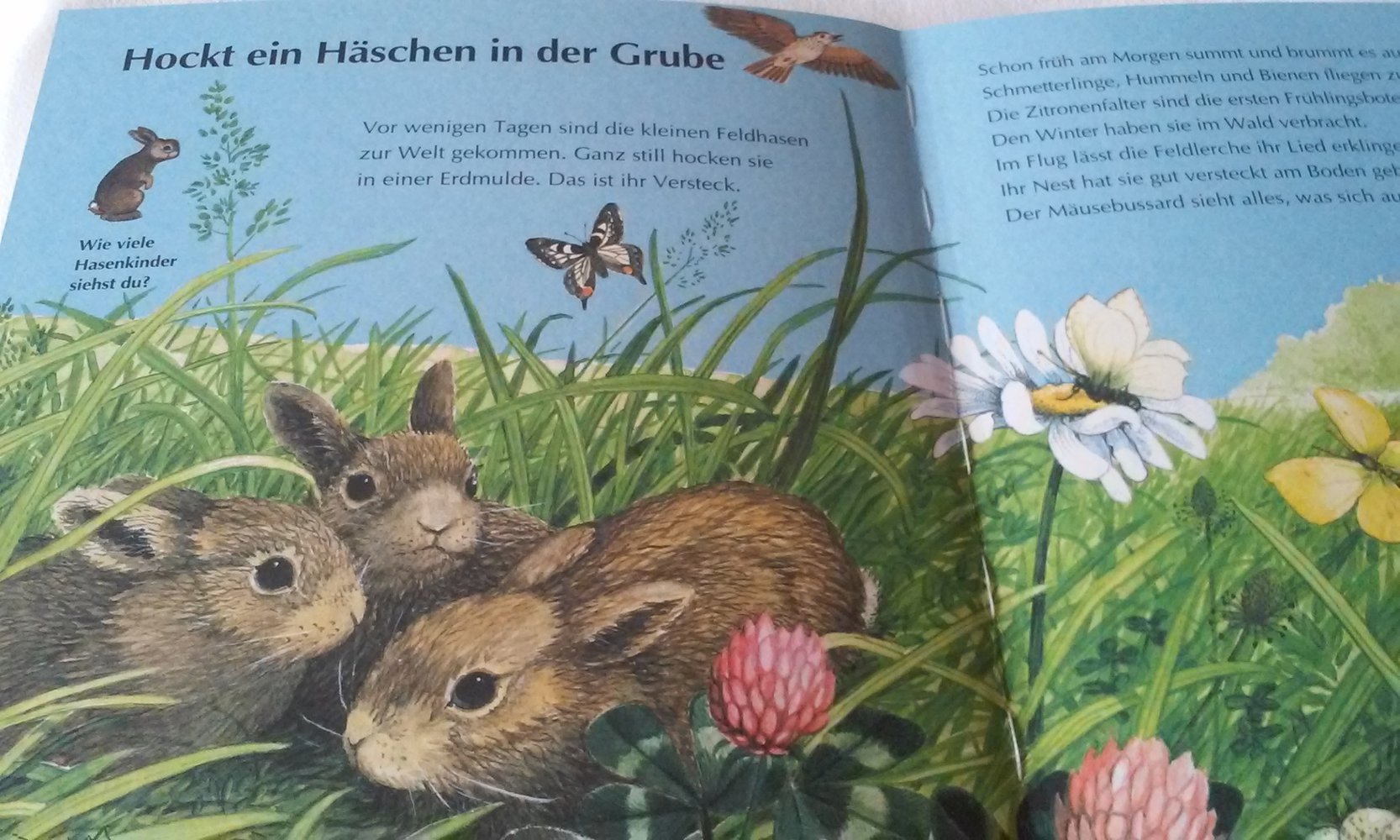 Auf der Wiese und am Teich Schauen! Suchen! Finden!  Sachbuch/Kinderbuch 1-3.Lj.