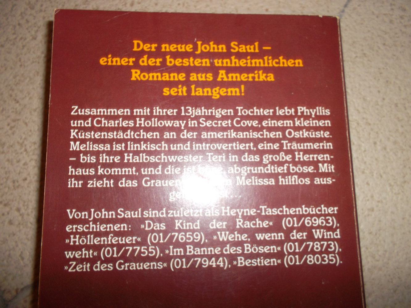 buch,john saul,teuflische schwestern