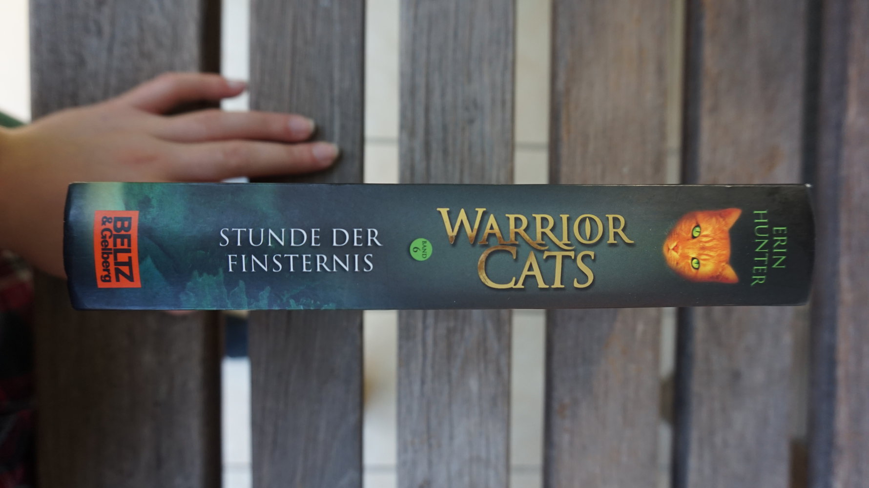 WarriorCats Staffel 1 BAND 6 