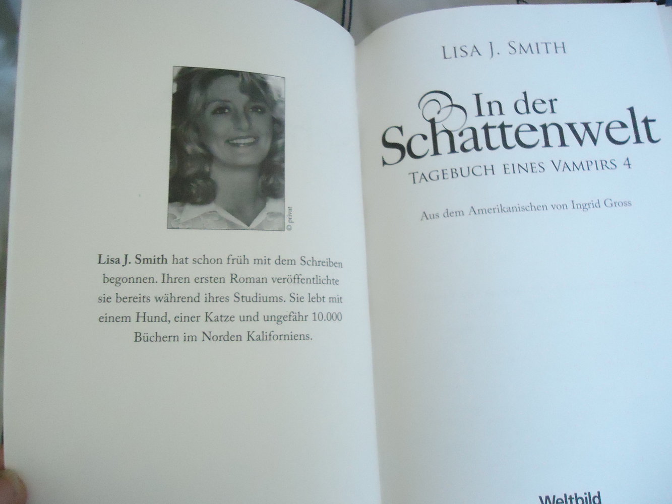  In der Schattenwelt (TAGEBUCH EINES VAMPIRS ) Band 1-4 