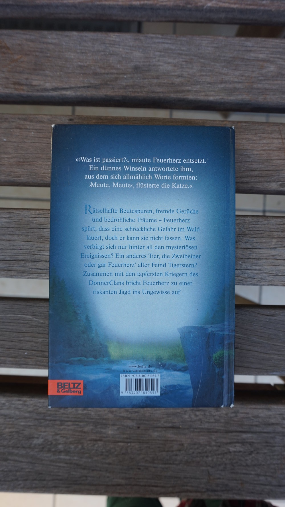 WarriorCats Staffel 1 BAND 5