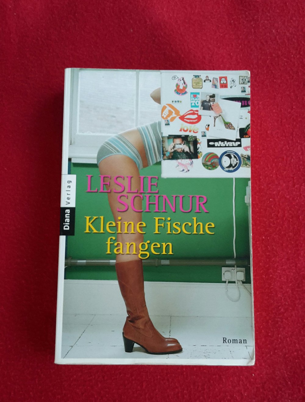 Kleine Fische fangen - Leslie Schnur