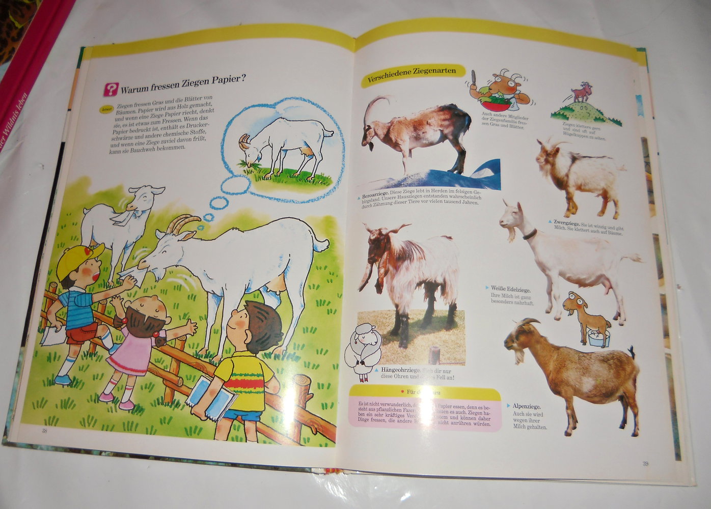 TIME-LIFE Kinder-Bibliothek-Die Welt der Tiere