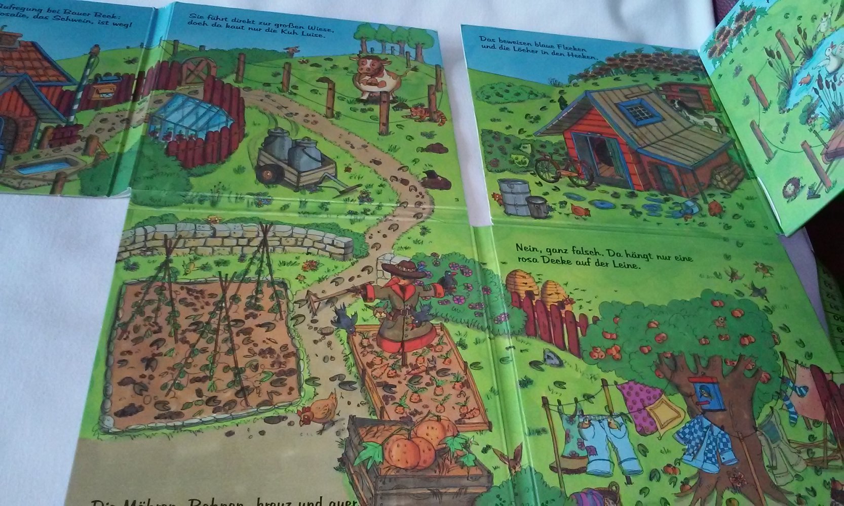 Rosalie das Schwein ist weg! Kinderbuch/Pappbilderbuch